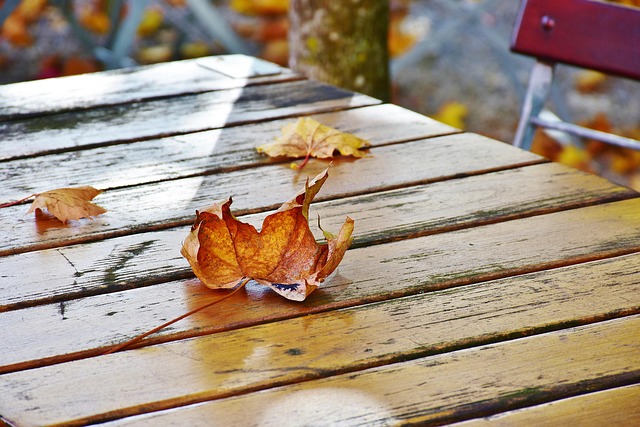 Wooden beer-garden table with autumn leaves in an arcade courtyard